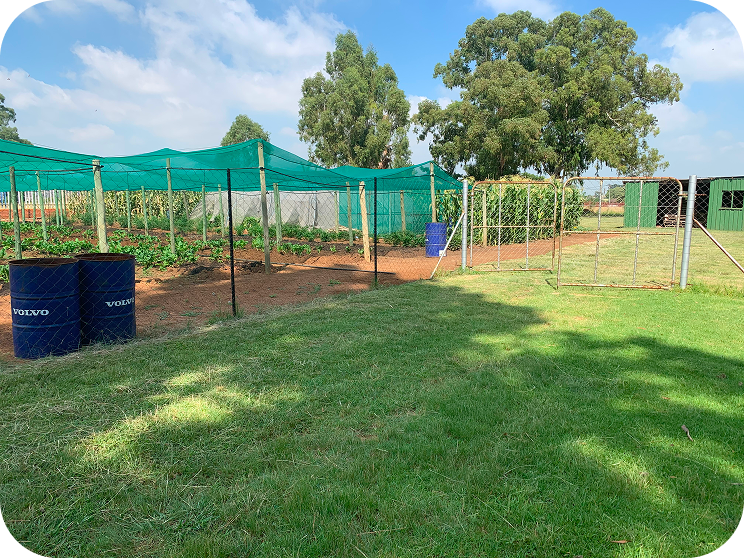 Outdoors garden
